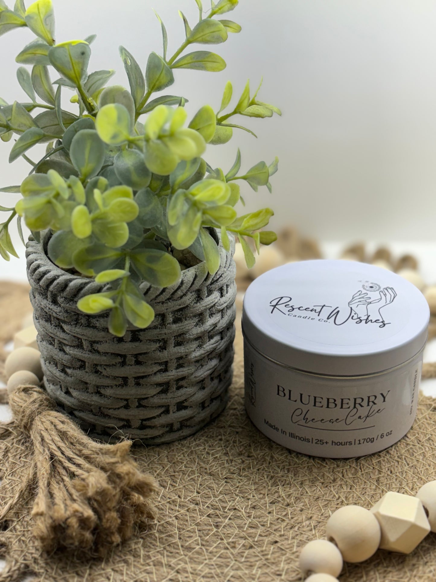 Blueberry Cheesecake